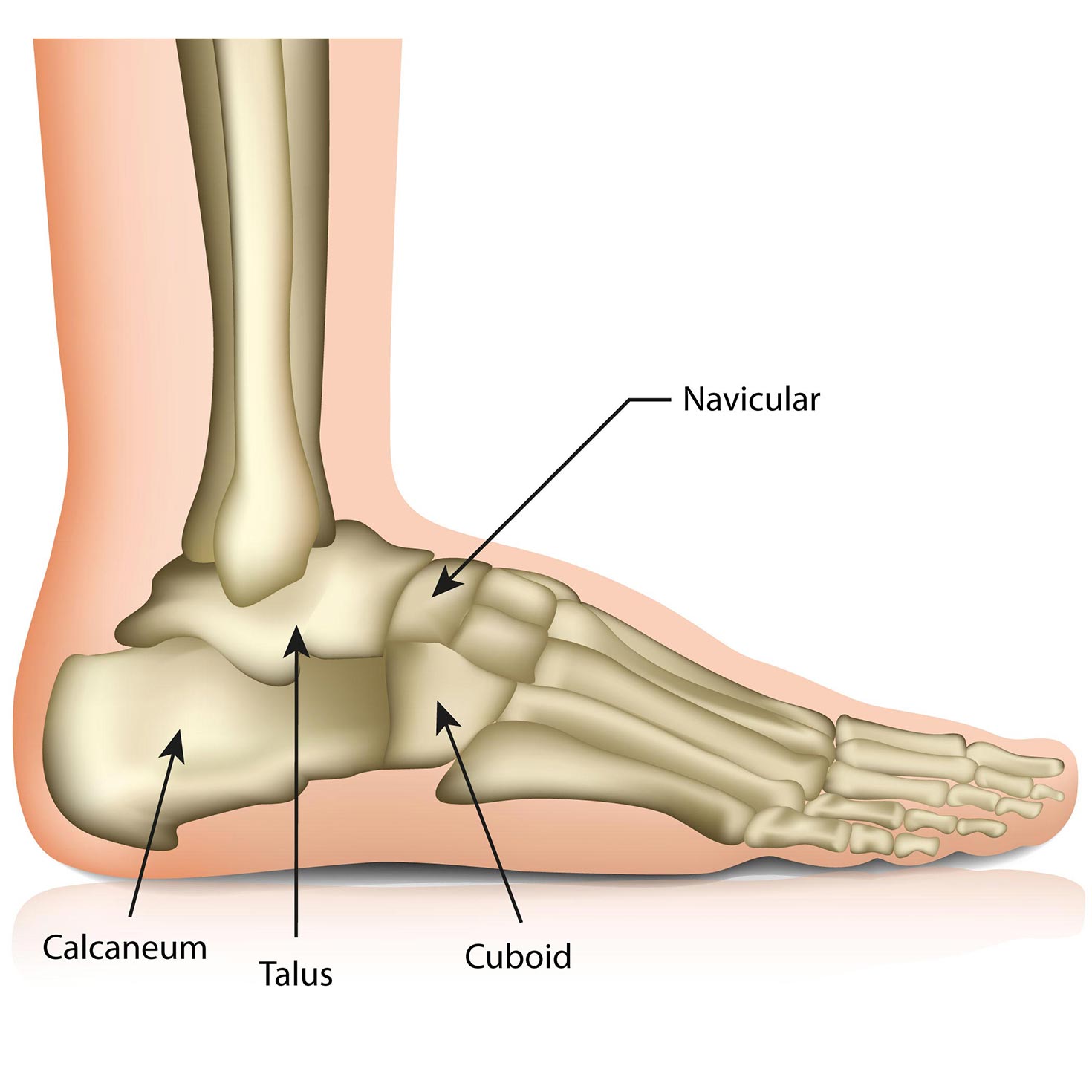 Arthroscopy Keyhole Surgery - Oxford Ortophaedics Clinic