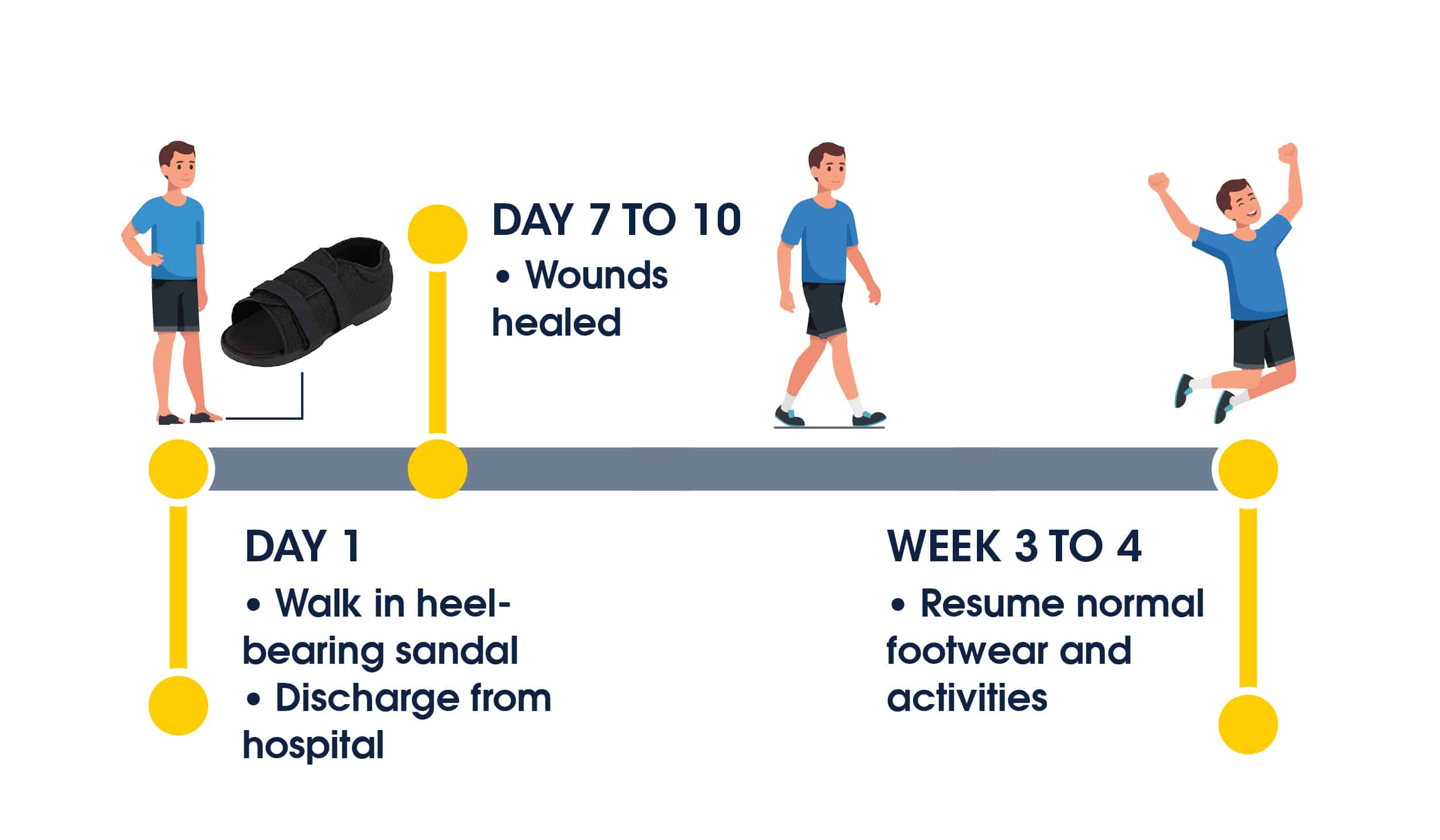 MIS bunions and hammer toes recovery timeline