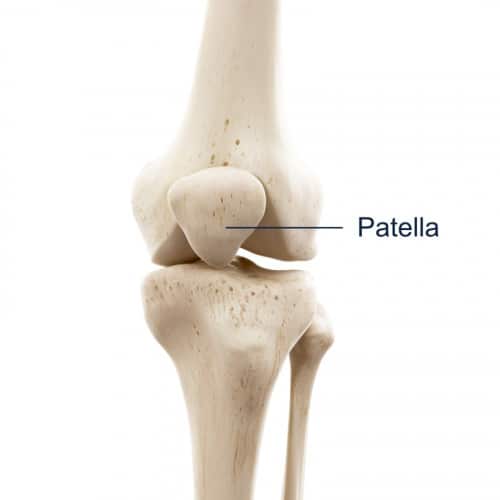 patellar knee cap conditions